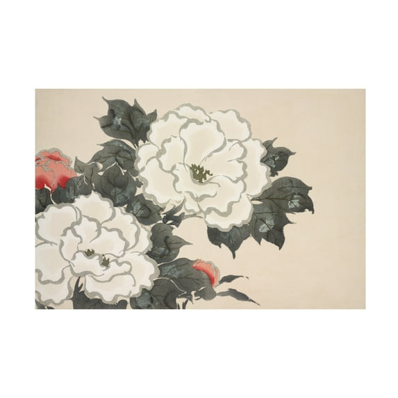 Trademark Fine Art Pictufy Flowers From Momoyogusa Canvas Wall Art