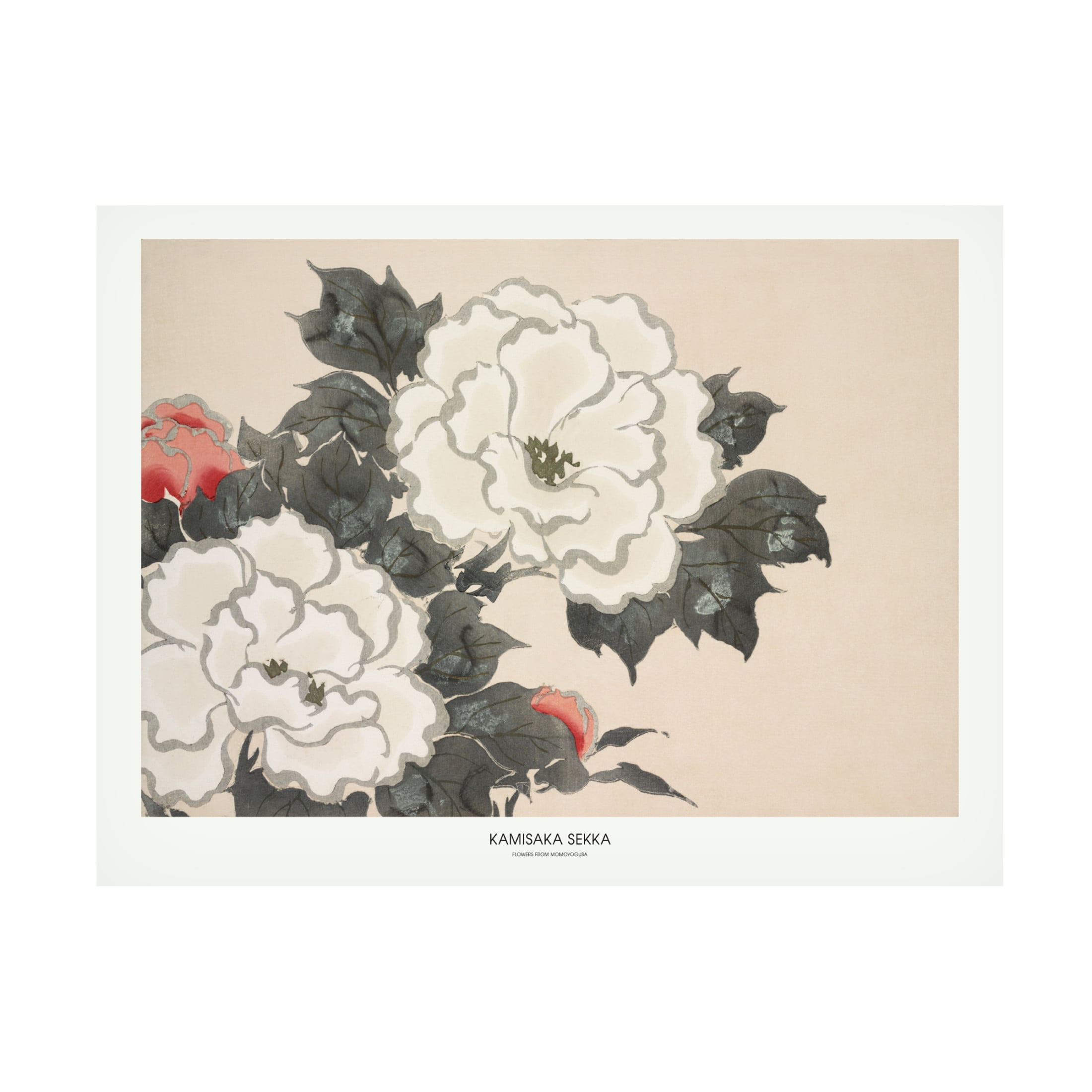 Trademark Fine Art Pictufy  Flowers From Momoyogusa Canvas Wall Art
