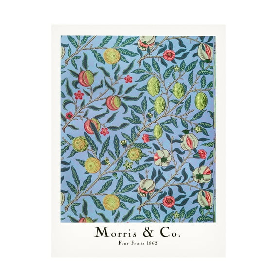 Trademark Fine Art Pictufy Four Fruits Canvas Wall Art