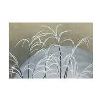 Trademark Fine Art Pictufy  Frost From Momoyogusa Canvas Wall Art