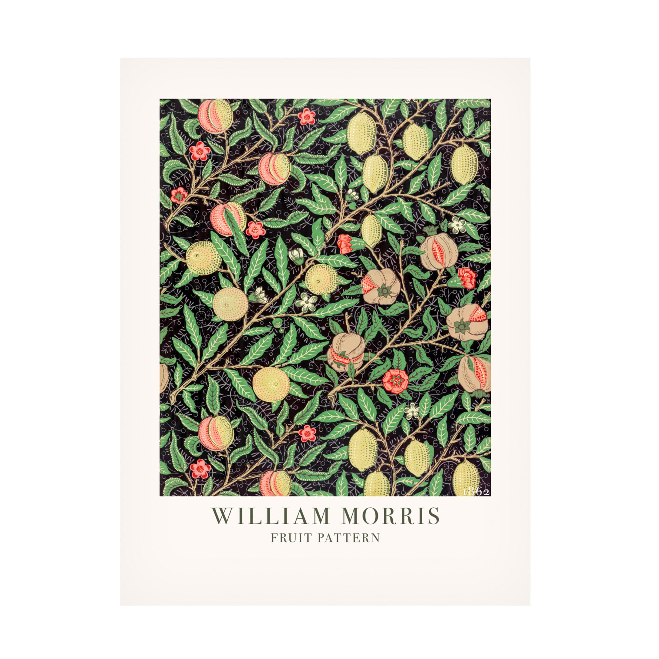 Trademark Fine Art Pictufy  Fruit Pattern Canvas Wall Art