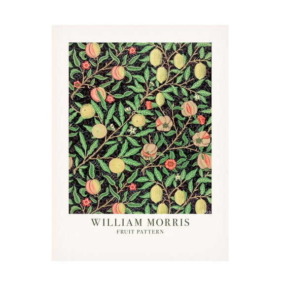 Trademark Fine Art Pictufy Fruit Pattern Canvas Wall Art