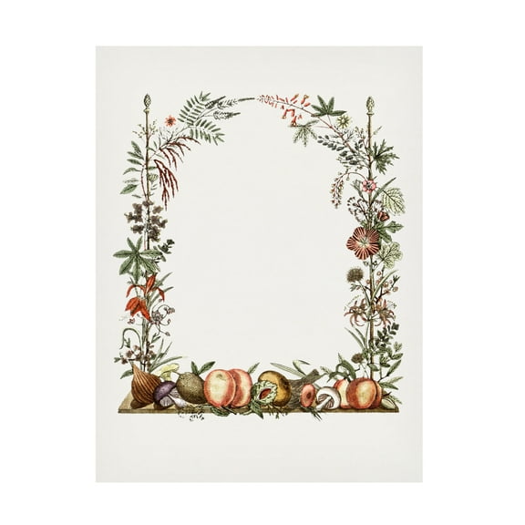 Trademark Fine Art Pictufy  Hand Drawn Botanical Frame Canvas Wall Art