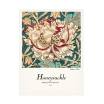 Trademark Fine Art Pictufy Honeysuckle Canvas Wall Art