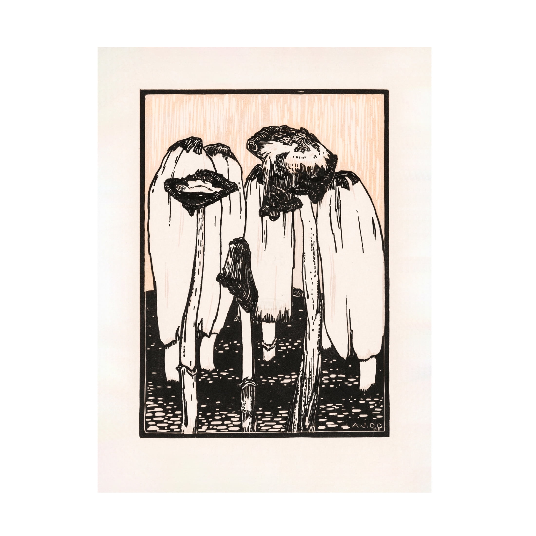 Trademark Fine Art Pictufy  Ink Mushrooms 1915 Canvas Wall Art