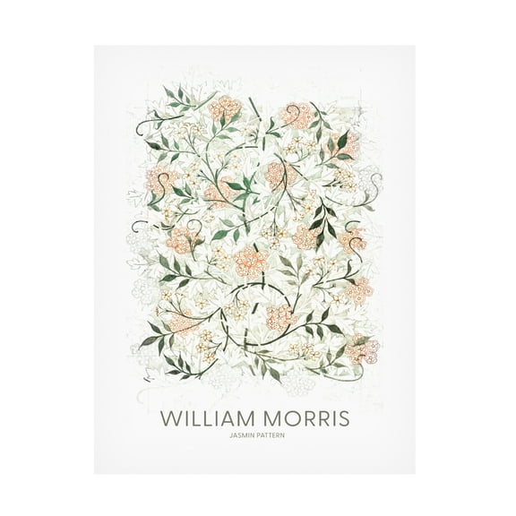 Trademark Fine Art Pictufy  Jasmine Canvas Wall Art