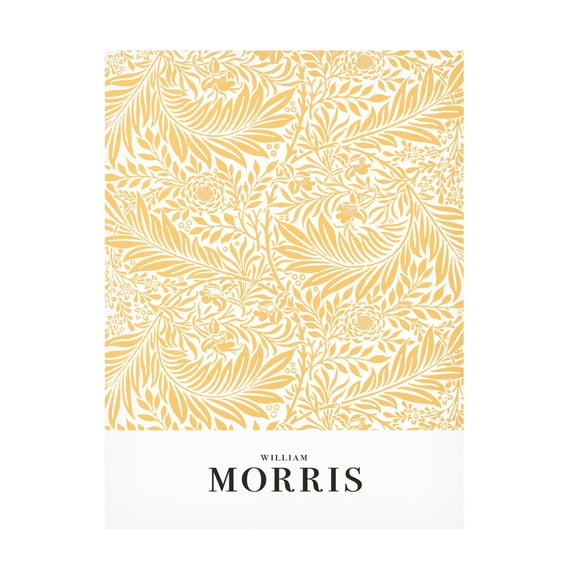 Trademark Fine Art Pictufy  Larkspur Canvas Wall Art