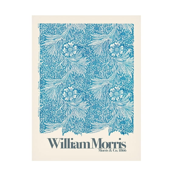 Trademark Fine Art Pictufy Marigold Canvas Wall Art