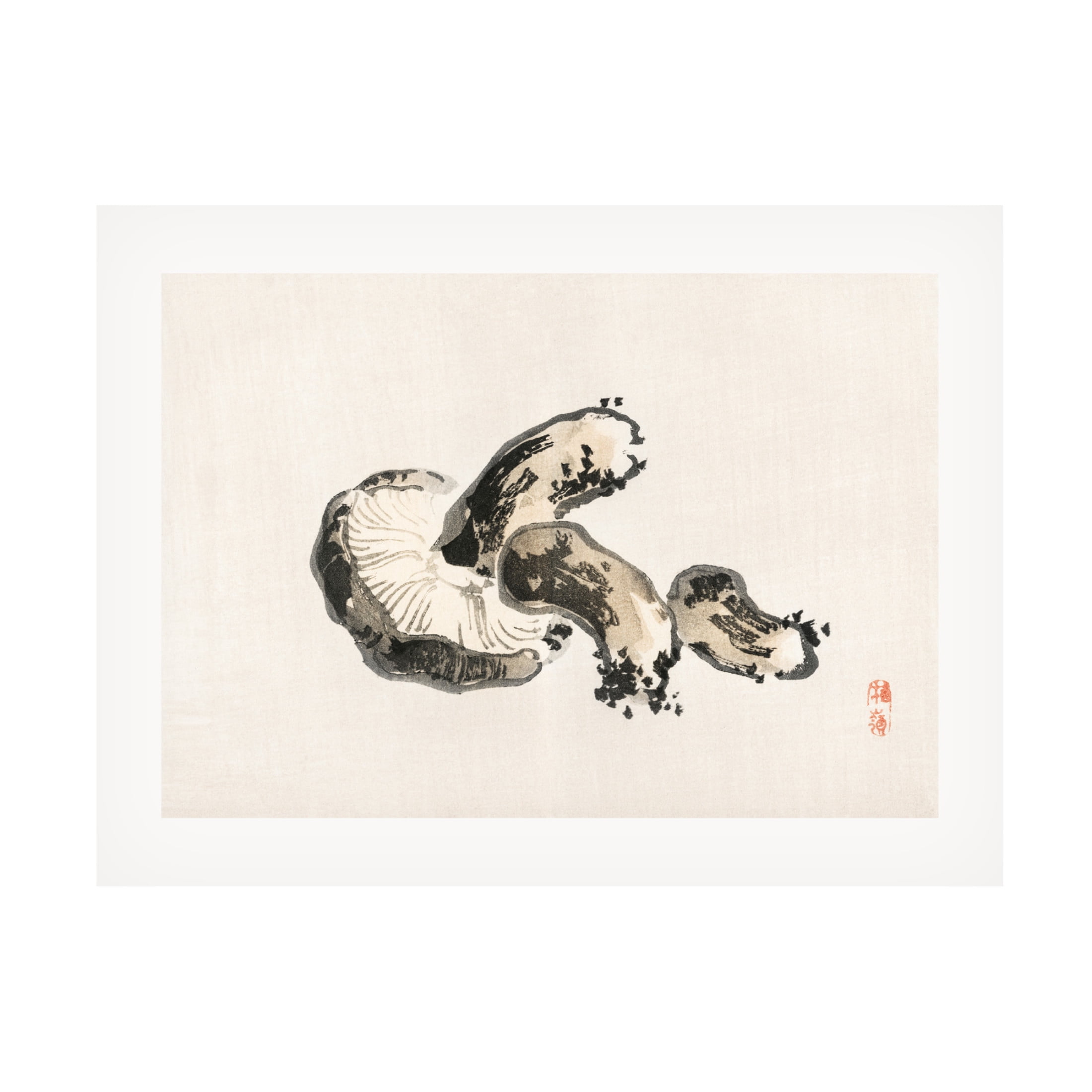 Trademark Fine Art Pictufy Shitake Mushroom Canvas Wall Art