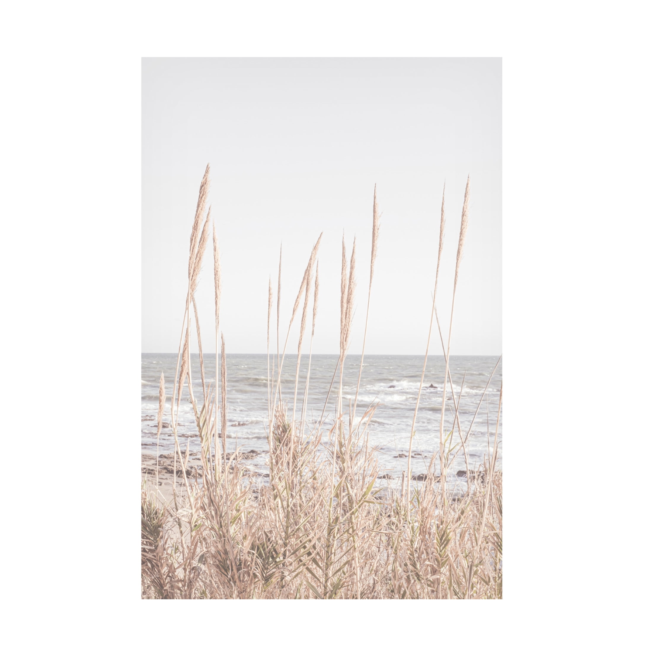 Trademark Fine Art Pictufy Studio Beach Vass Canvas Wall Art