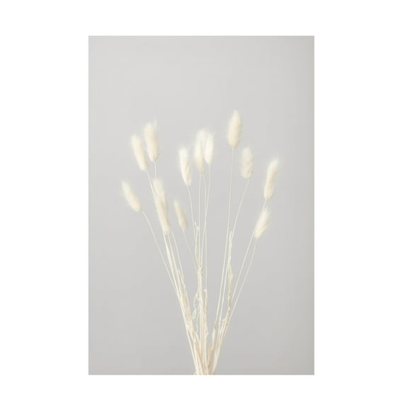 Trademark Fine Art Pictufy Studio Bunny Grass No 1 Canvas Wall Art