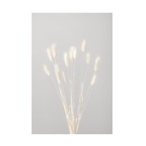 Trademark Fine Art Pictufy Studio Bunny Grass No 1 Canvas Wall Art
