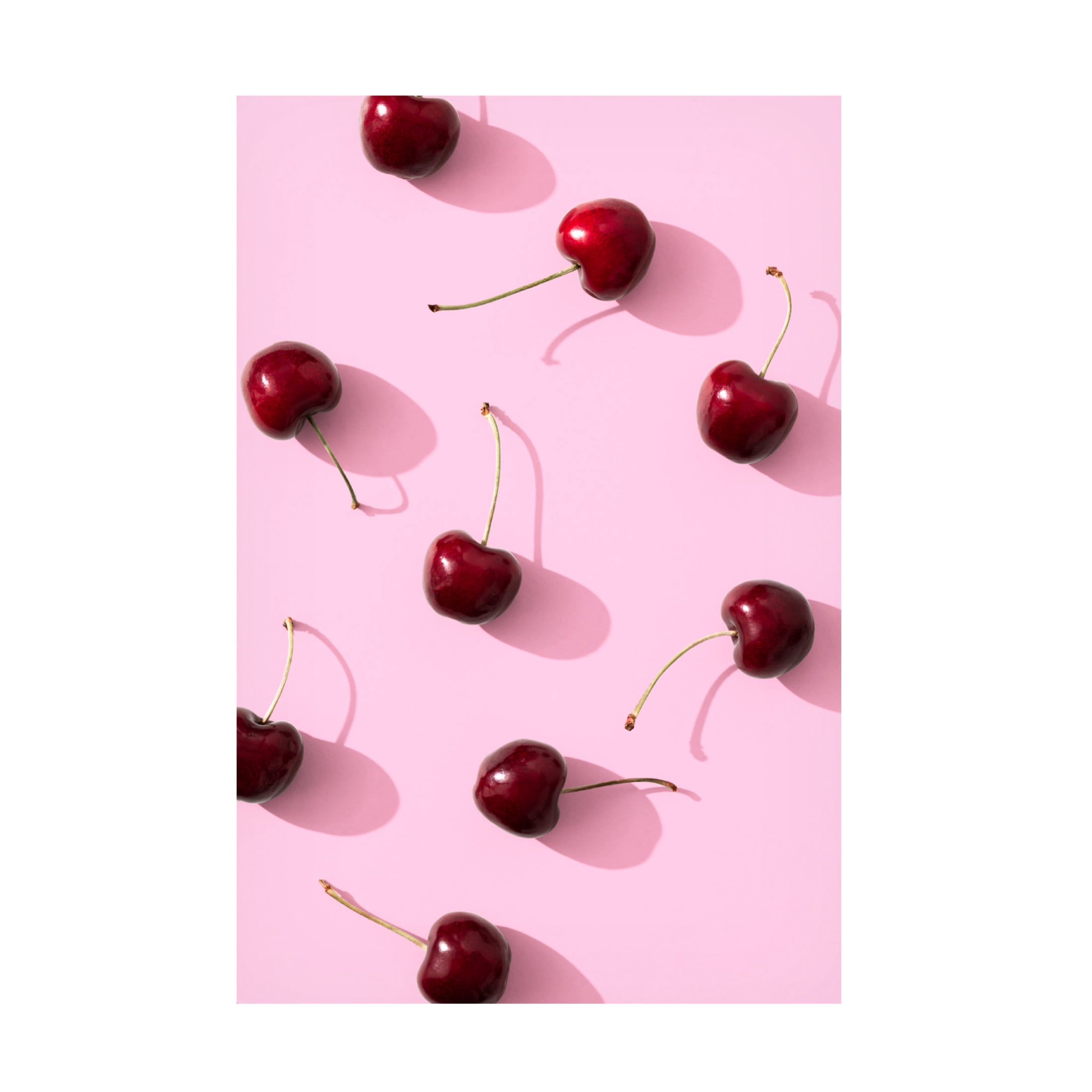 Trademark Fine Art Pictufy Studio Cherries On Pink Background Canvas Wall Art