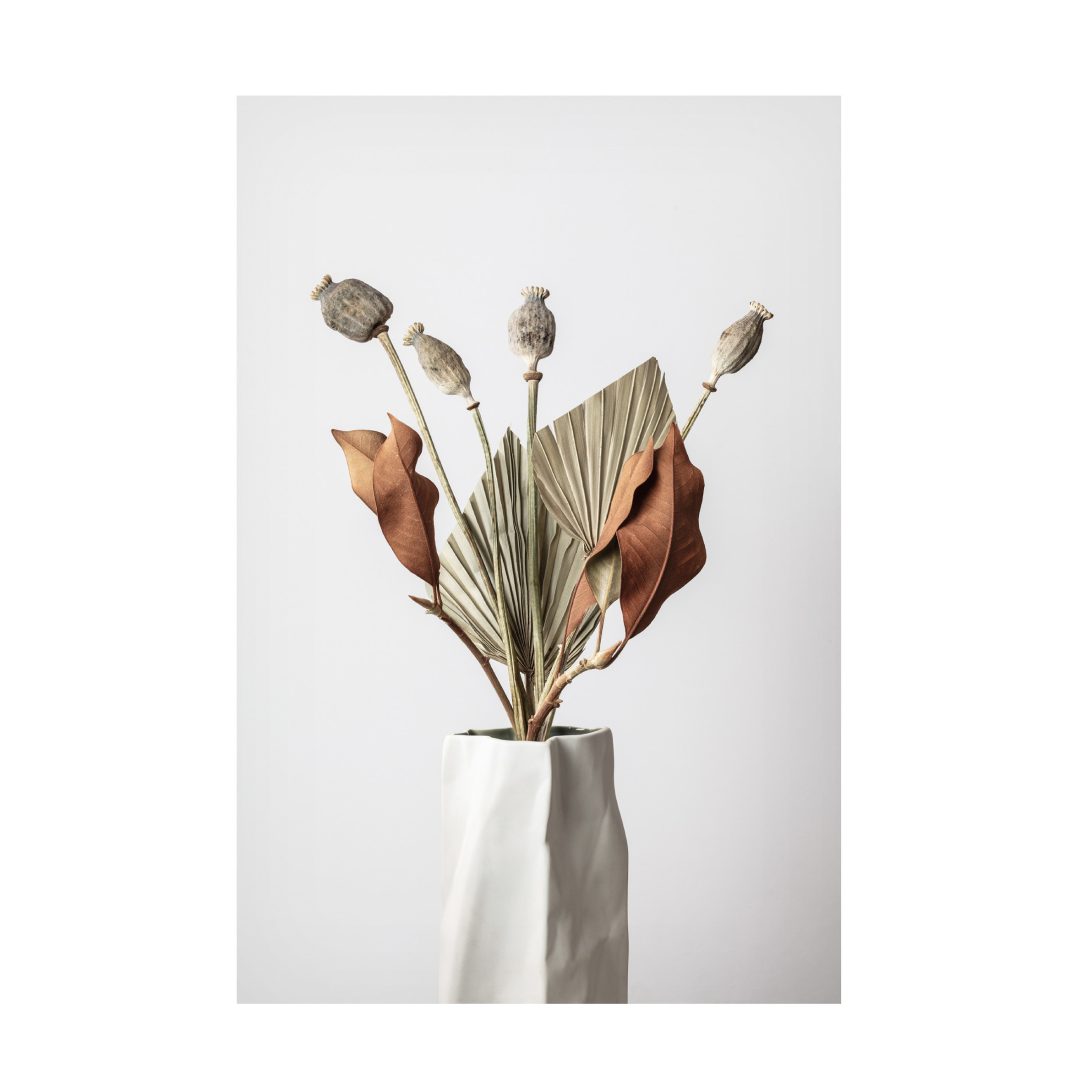 Trademark Fine Art Pictufy Studio Dried Canvas Wall Art