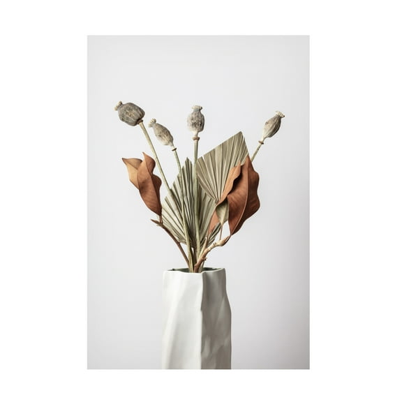 Trademark Fine Art Pictufy Studio Dried Canvas Wall Art