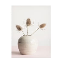 Trademark Fine Art Pictufy Studio Dried Flowers In Vase Canvas Wall Art