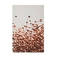 thumbnail image 1 of Trademark Fine Art Pictufy Studio Dried Grass Copper 05 Canvas Wall Art, 1 of 4