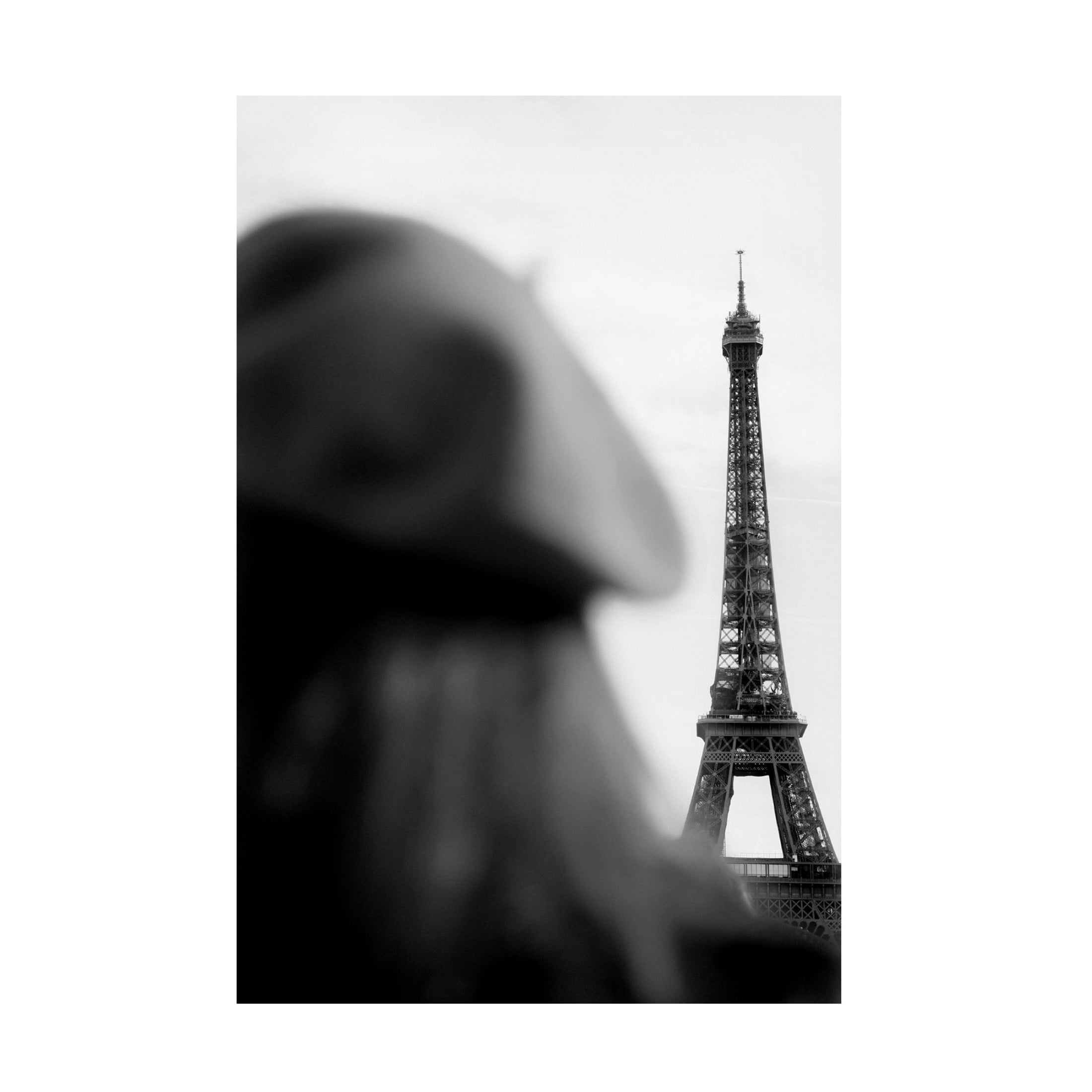 Trademark Fine Art Pictufy Studio Eiffel Tower Tour Eiffel Canvas Wall Art