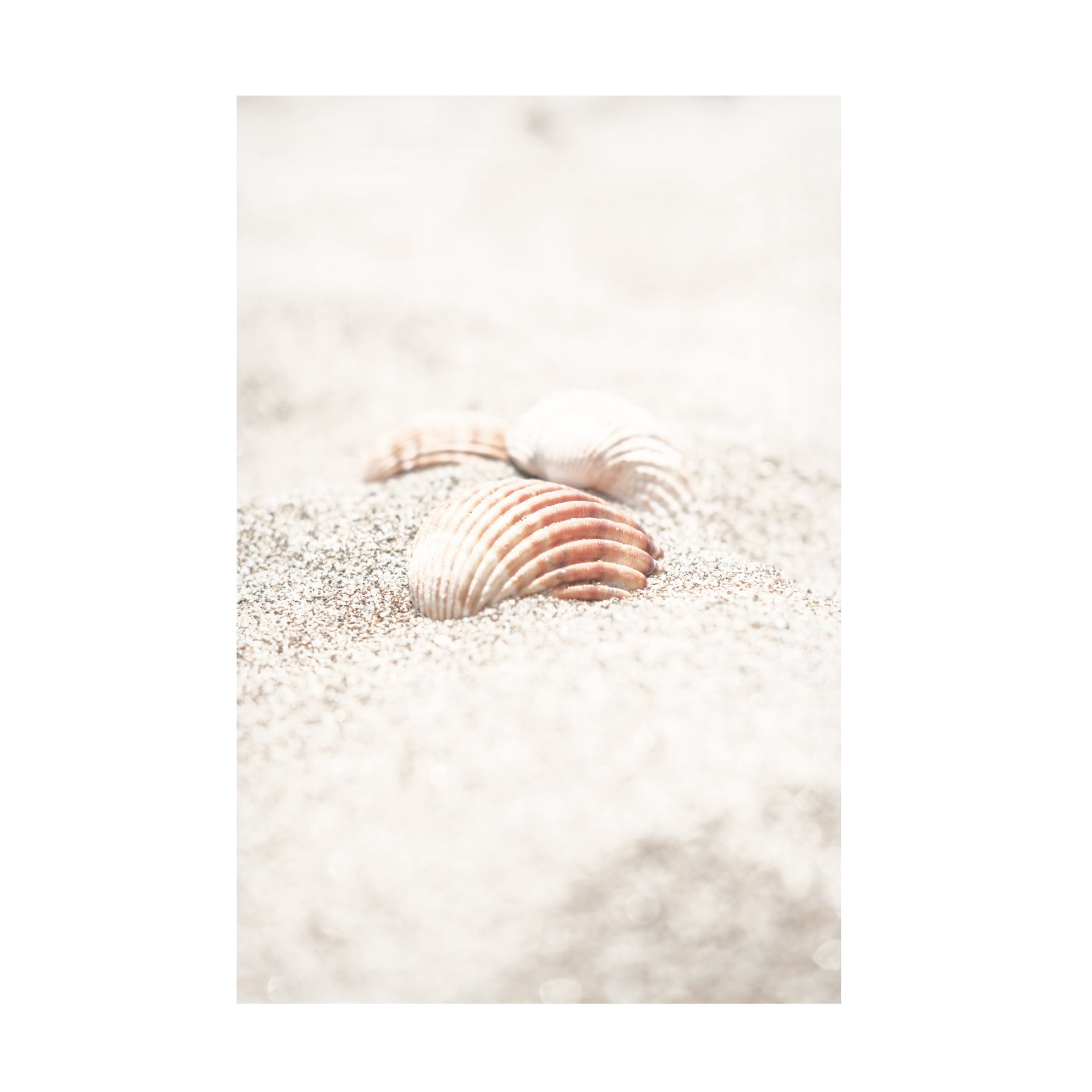 Trademark Fine Art Pictufy Studio III Beach 13 Canvas Wall Art