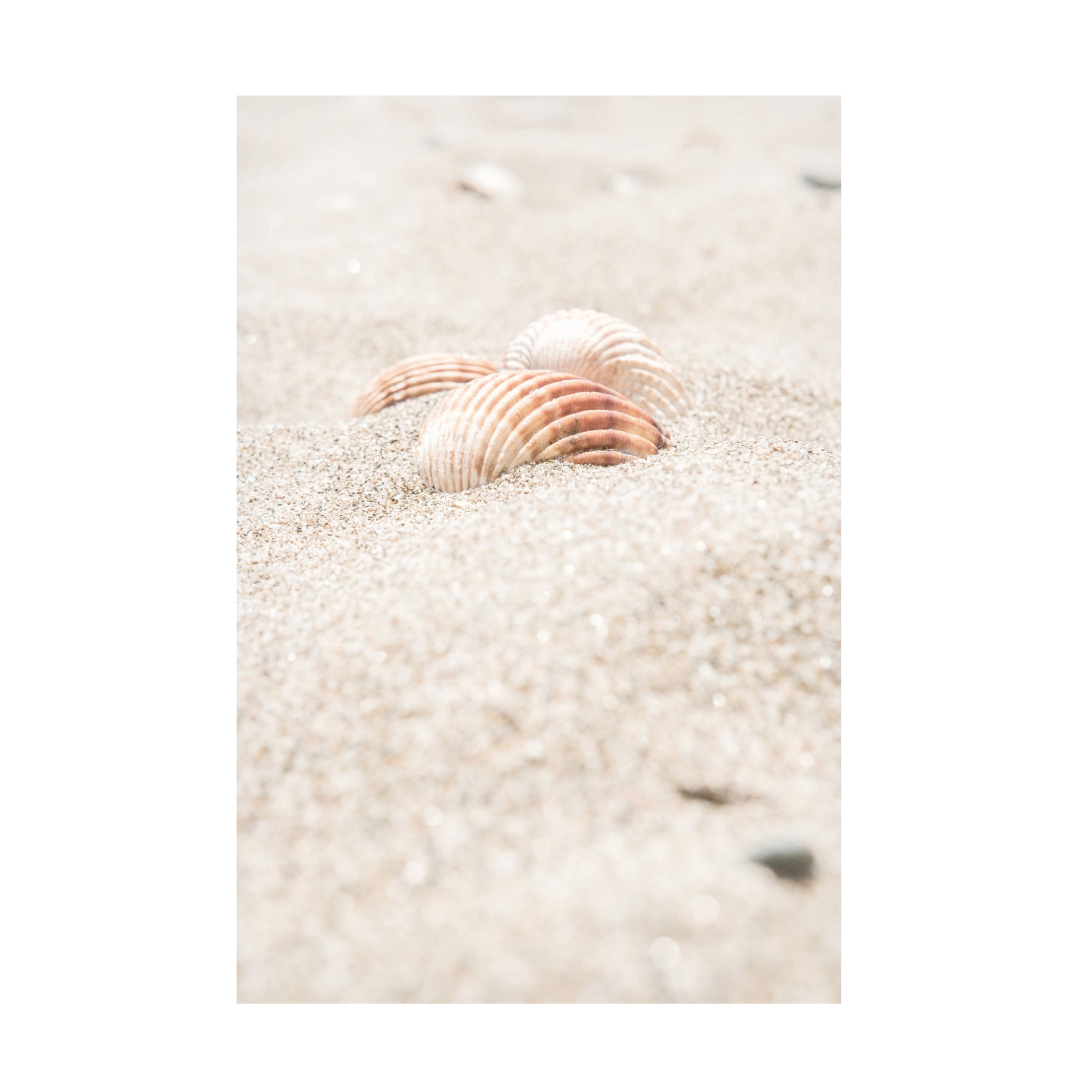 Trademark Fine Art Pictufy Studio III Beach 14 Canvas Wall Art