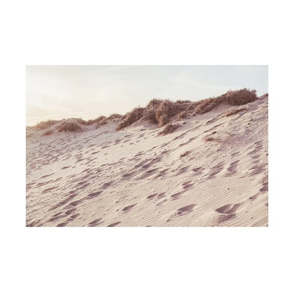 Trademark Fine Art Pictufy Studio III Beach 9 Canvas Wall Art