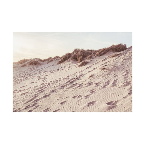 Trademark Fine Art Pictufy Studio III Beach 9 Canvas Wall Art