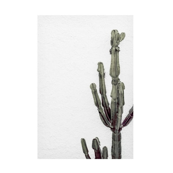 Trademark Fine Art Pictufy Studio III Cactus 3 Canvas Wall Art