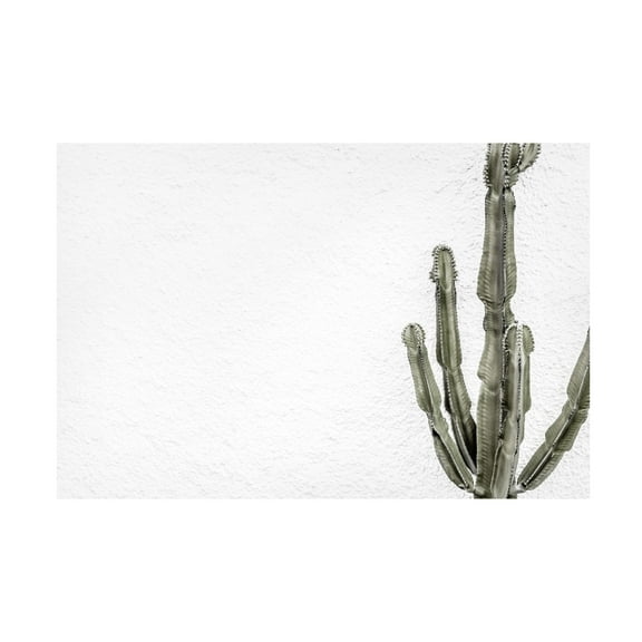 Trademark Fine Art Pictufy Studio III Cactus 4 Canvas Wall Art