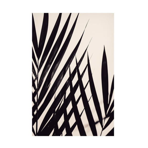 Trademark Fine Art Pictufy Studio III Guldpalm black Canvas Wall Art