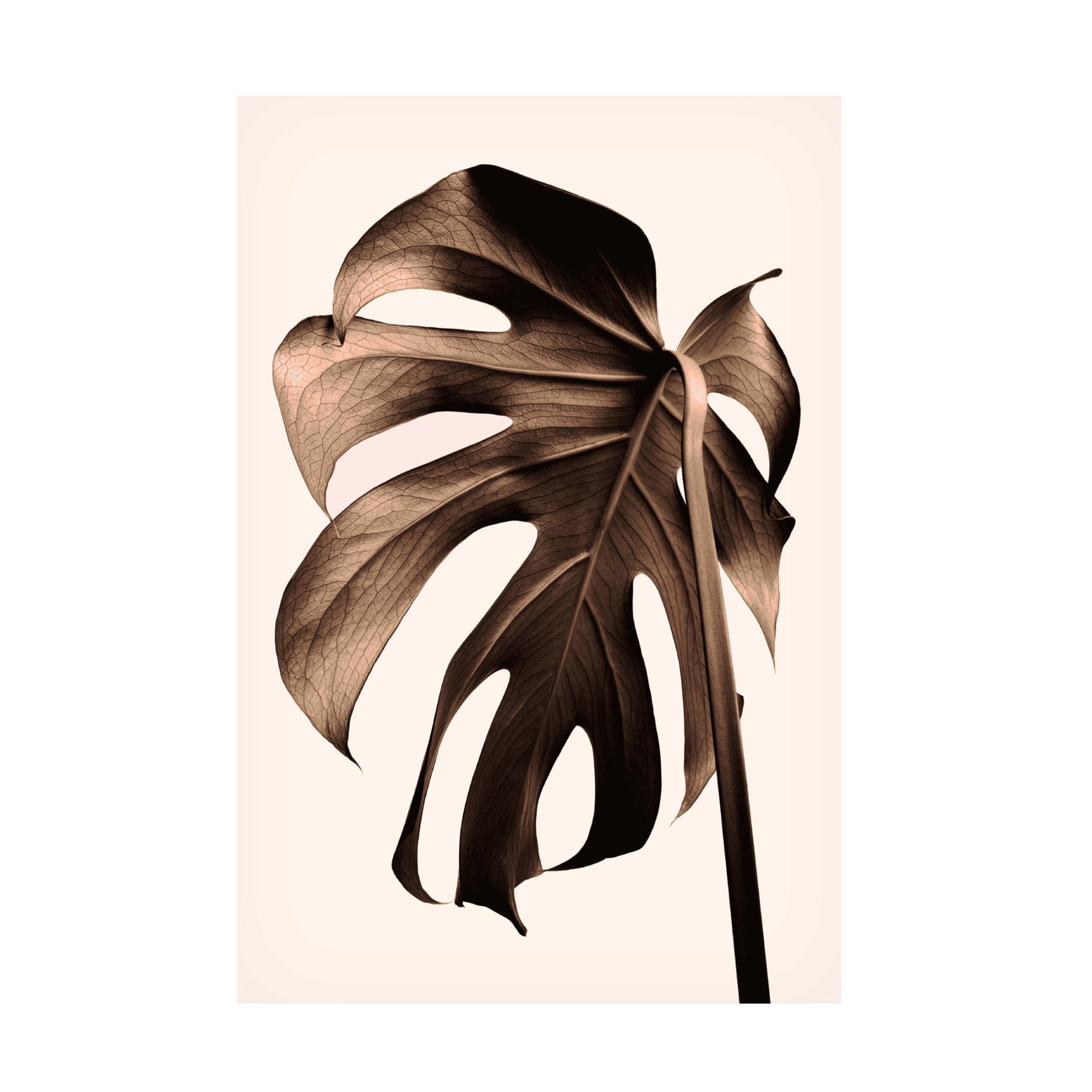 Trademark Fine Art Pictufy Studio III Monstera Gold Canvas Wall Art