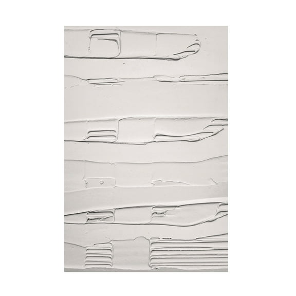 Trademark Fine Art Pictufy Studio III Mud Texture 01 Canvas Wall Art