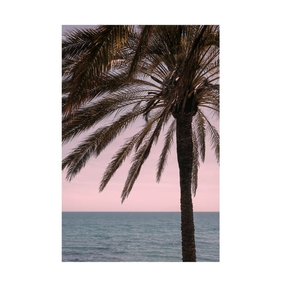 Trademark Fine Art Pictufy Studio III Palm 10 Canvas Wall Art