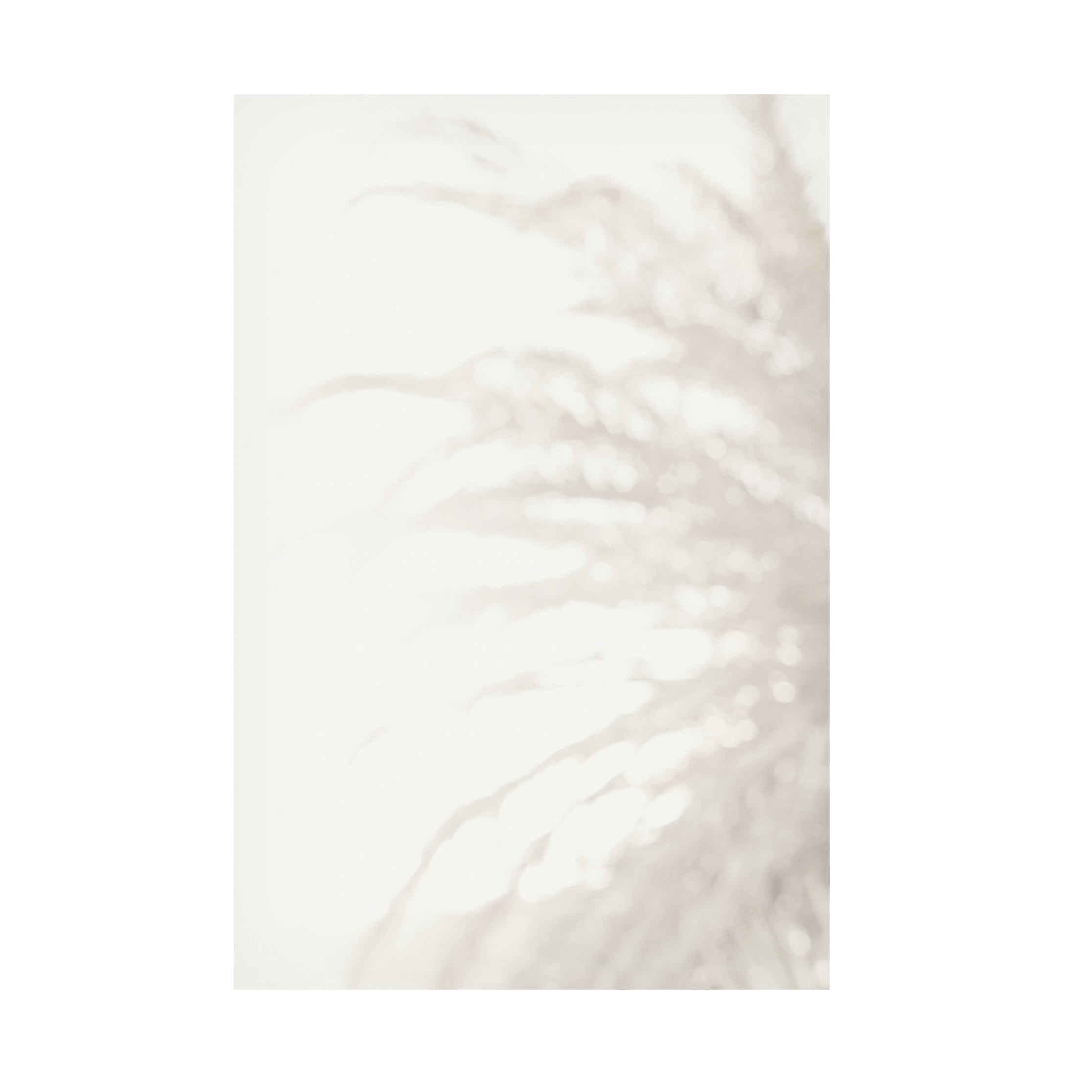 Trademark Fine Art Pictufy Studio III Palm 8 Canvas Wall Art