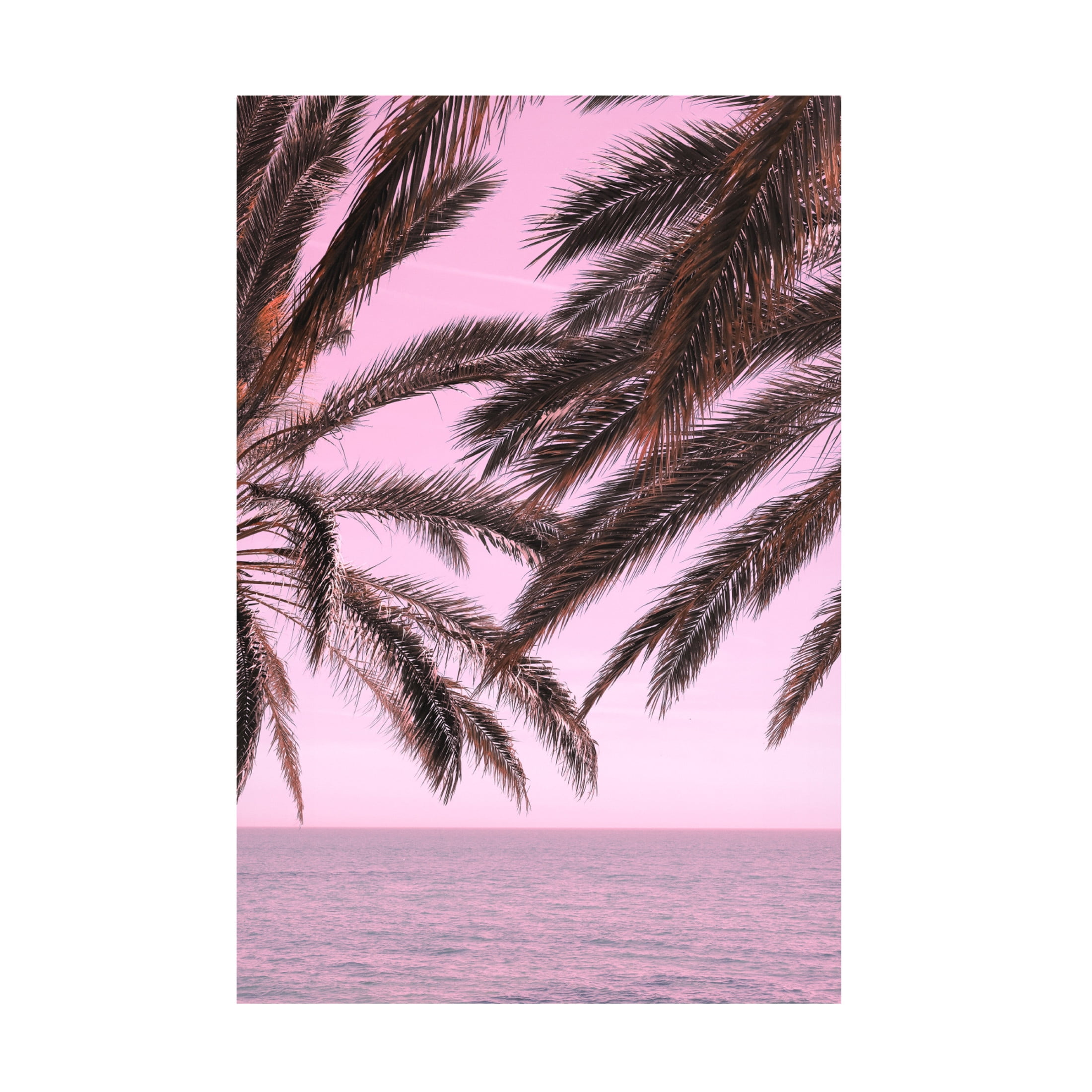 Trademark Fine Art Pictufy Studio III Palm Pink 1 Canvas Wall Art