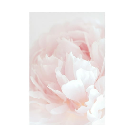 Trademark Fine Art Pictufy Studio III Peony 05 Canvas Wall Art