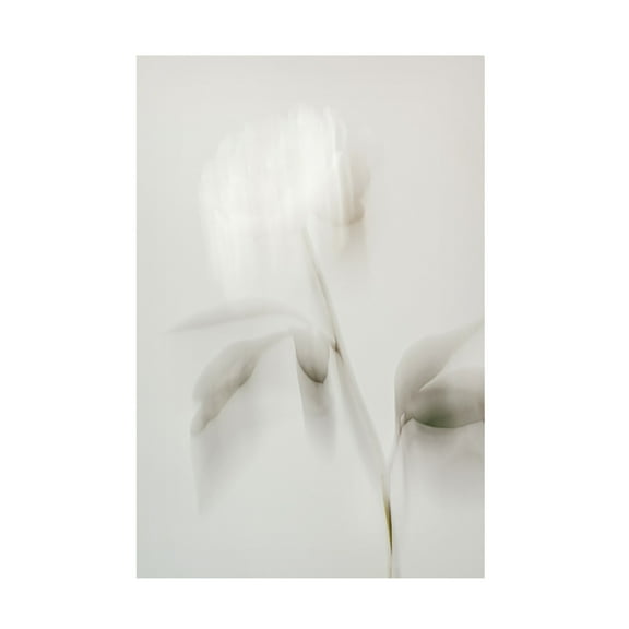 Trademark Fine Art Pictufy Studio III Peony 06 Canvas Wall Art