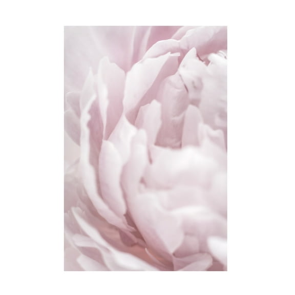 Trademark Fine Art Pictufy Studio III Peony 15 Canvas Wall Art