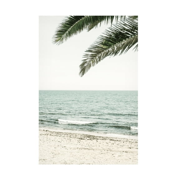 Trademark Fine Art Pictufy Studio III Solaris 03 Canvas Wall Art