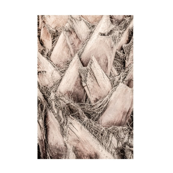 Trademark Fine Art Pictufy Studio III Solaris 07 Canvas Wall Art