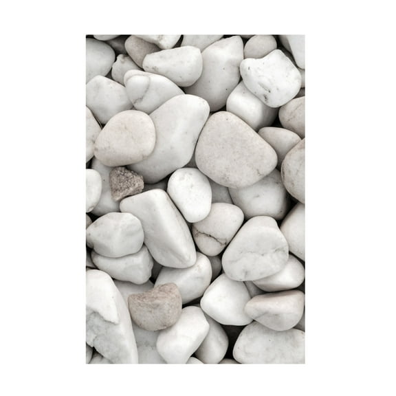 Trademark Fine Art Pictufy Studio III Stones 5 Canvas Wall Art