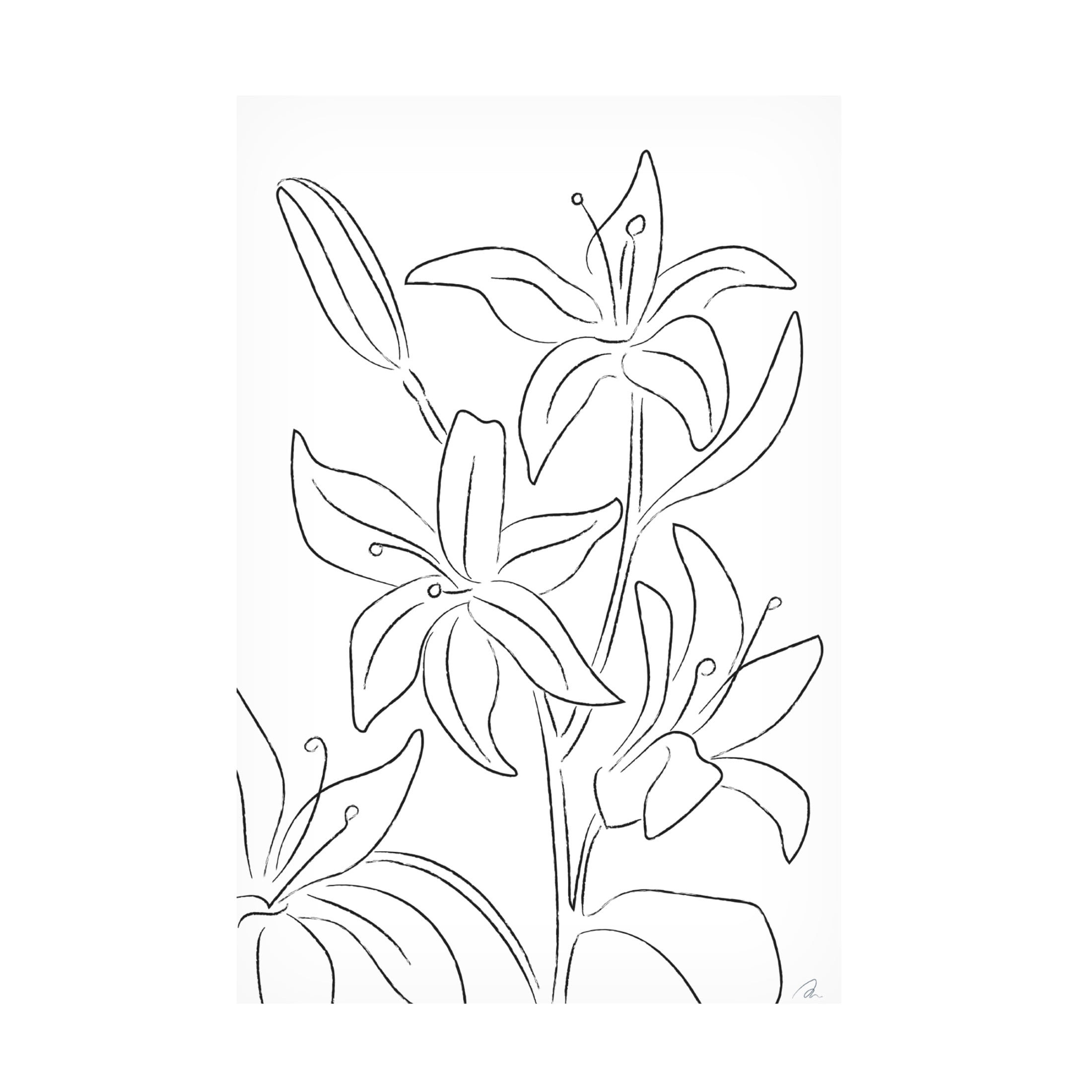 Trademark Fine Art Pictufy Studio Lillies No 02 Canvas Wall Art