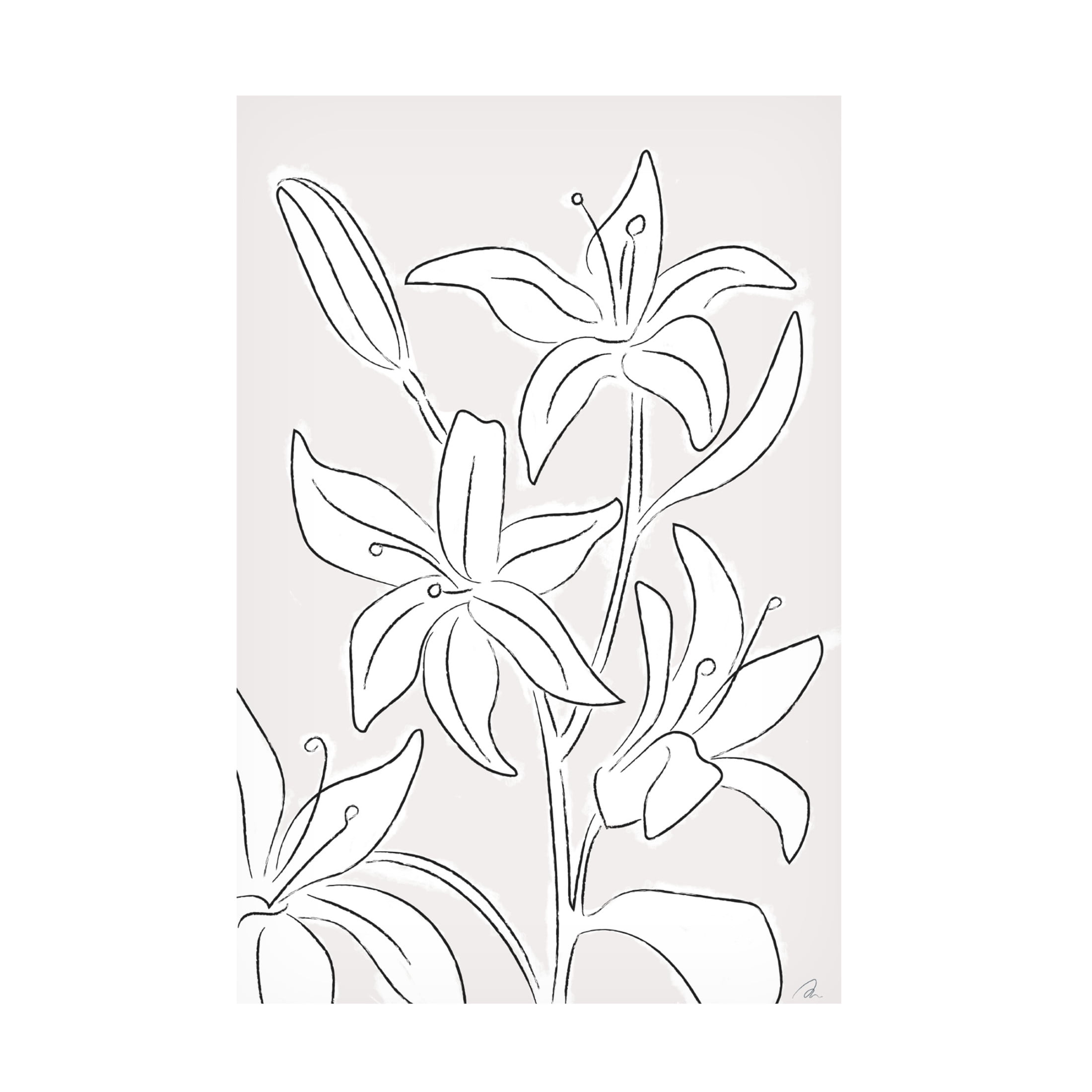 Trademark Fine Art Pictufy Studio Lillies No 03 Canvas Wall Art