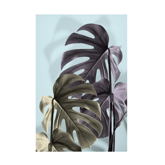 Trademark Fine Art Pictufy Studio Monstera Blue 02 Canvas Wall Art
