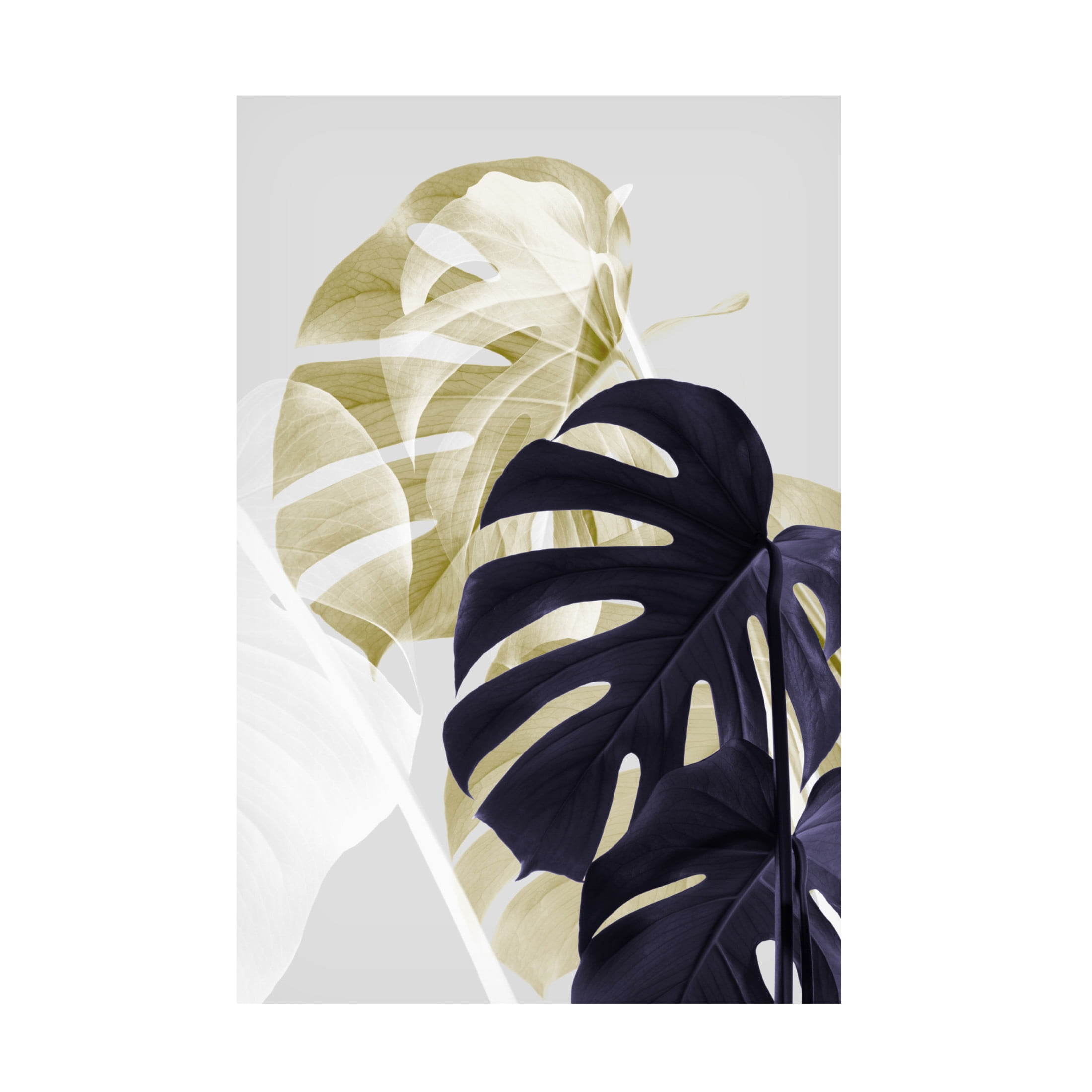 Trademark Fine Art Pictufy Studio Monstera Creative 06 Canvas Wall Art