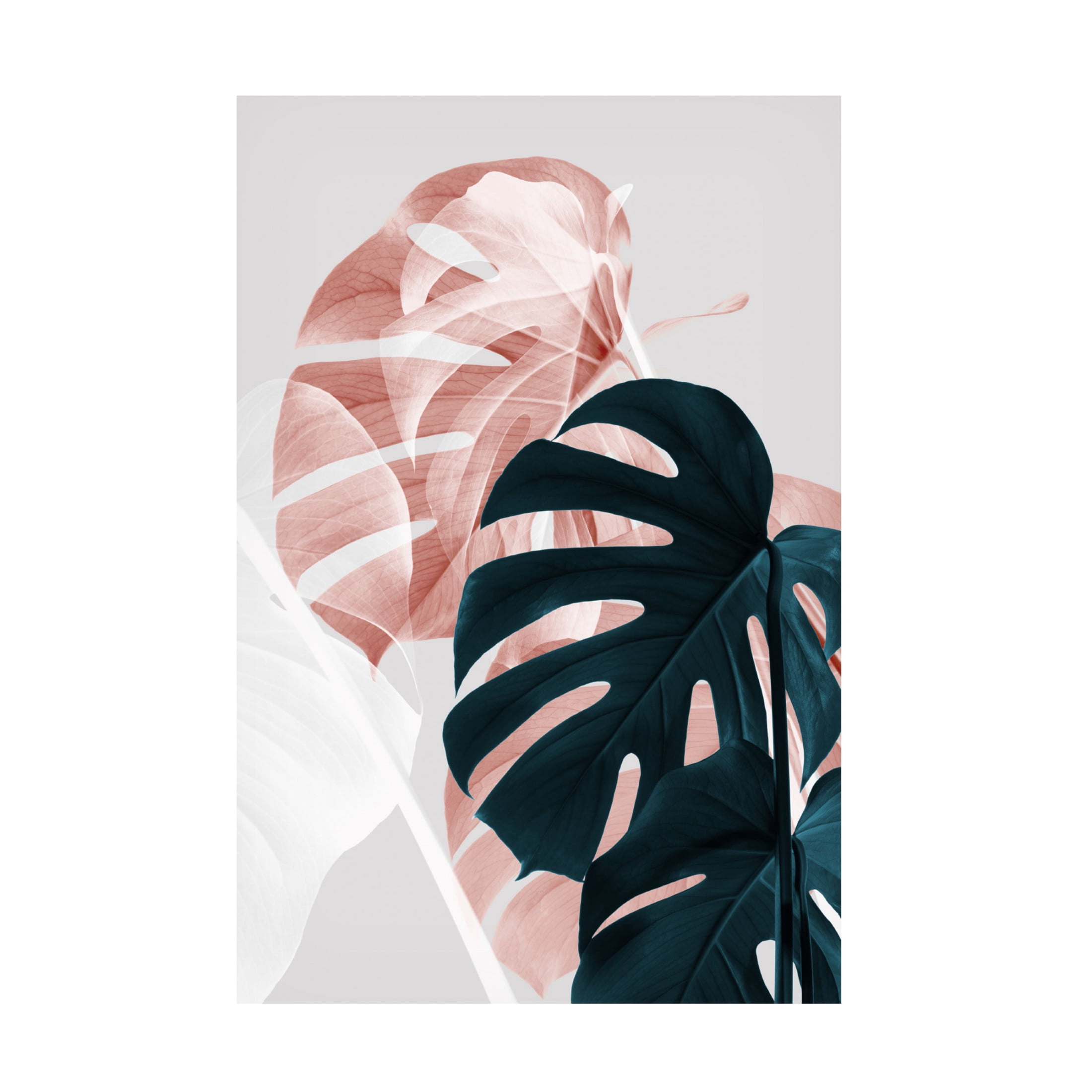 Trademark Fine Art Pictufy Studio Monstera Creative 09 Canvas Wall Art