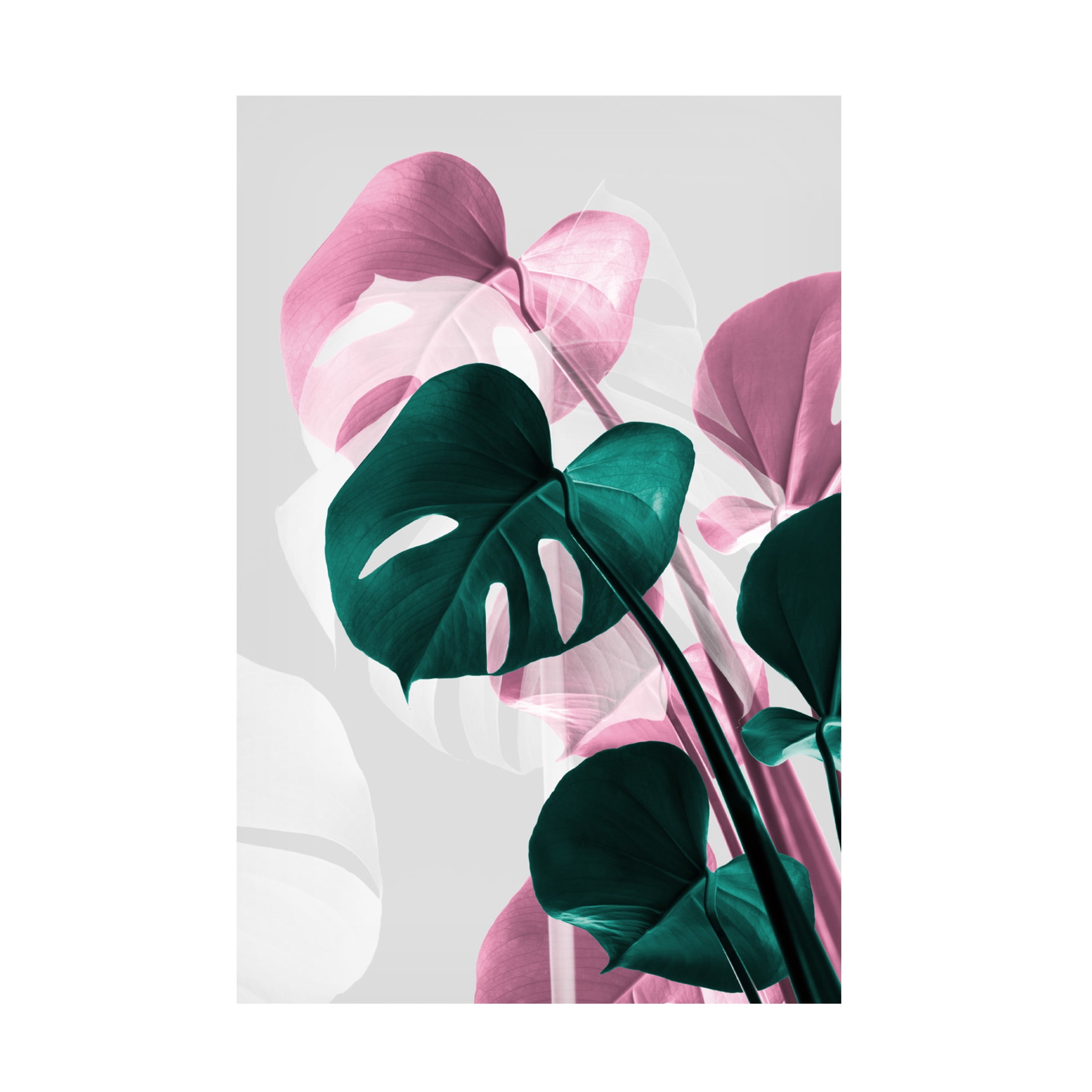 Trademark Fine Art Pictufy Studio Monstera Creative 12 Canvas Wall Art