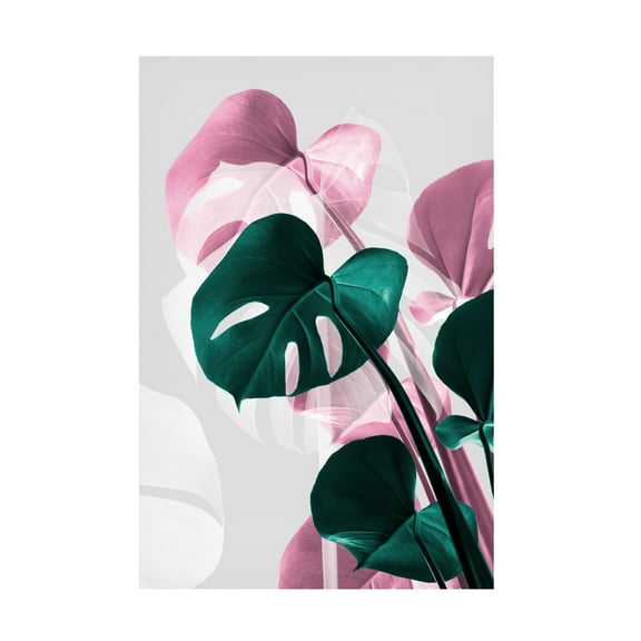 Trademark Fine Art Pictufy Studio Monstera Creative 12 Canvas Wall Art