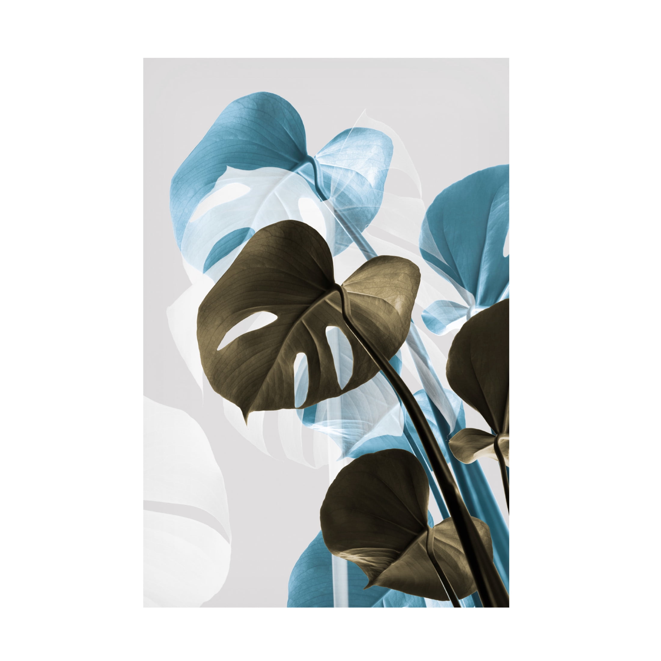 Trademark Fine Art Pictufy Studio Monstera Creative 13 Canvas Wall Art