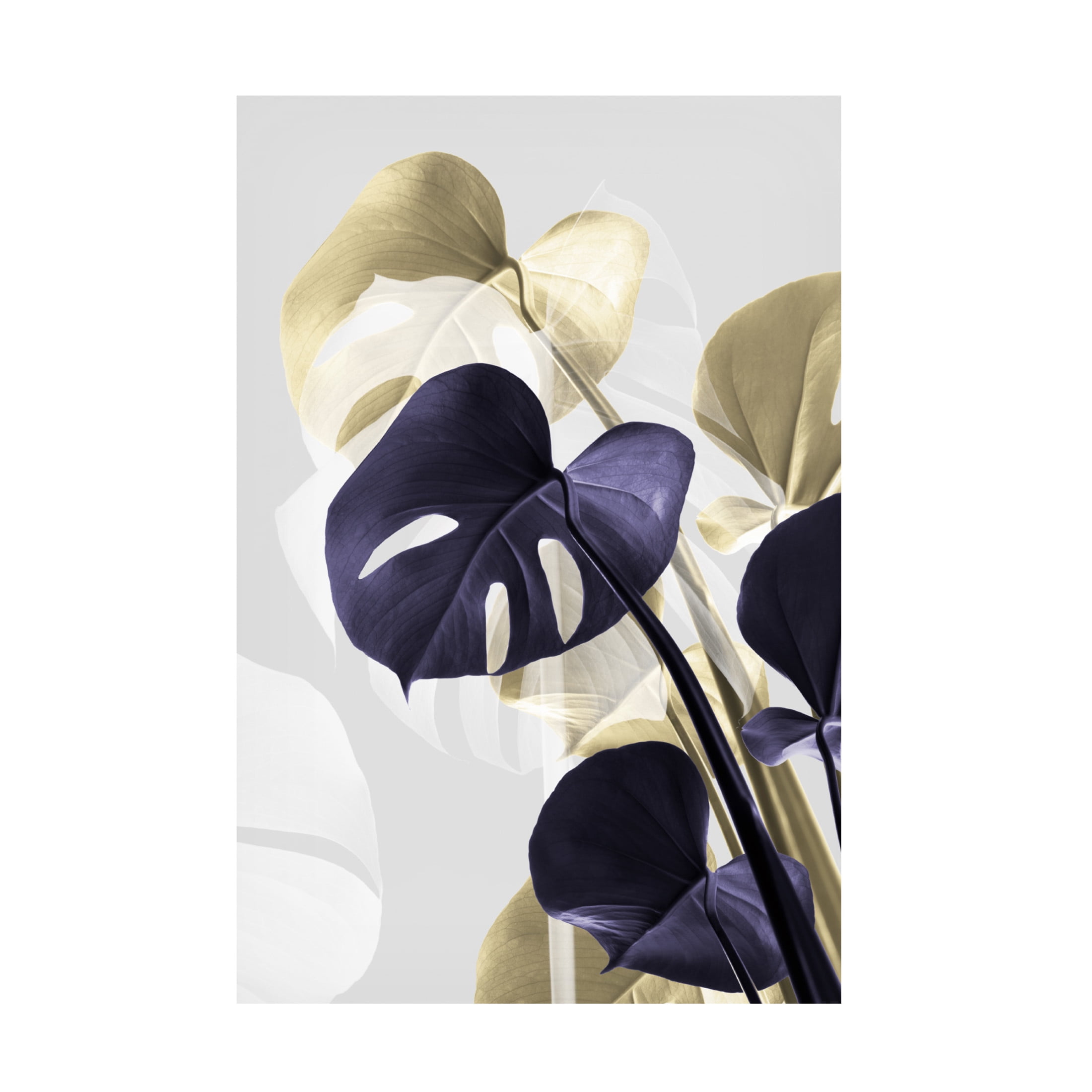 Trademark Fine Art Pictufy Studio Monstera Creative 14 Canvas Wall Art