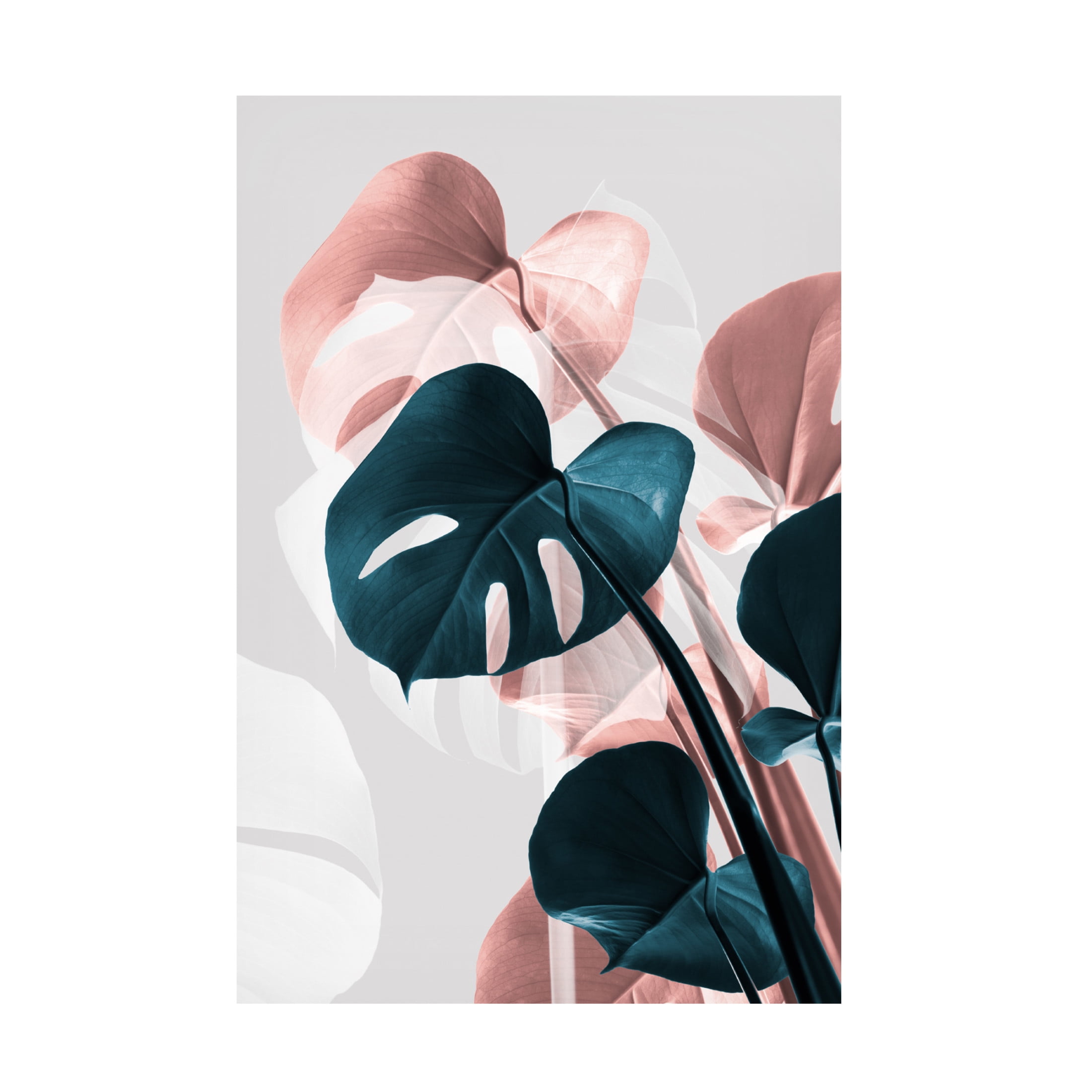 Trademark Fine Art Pictufy Studio Monstera Creative 17 Canvas Wall Art